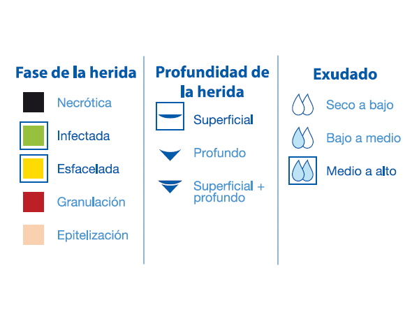 BSN Medical Cutimed® Siltec® Sorbact