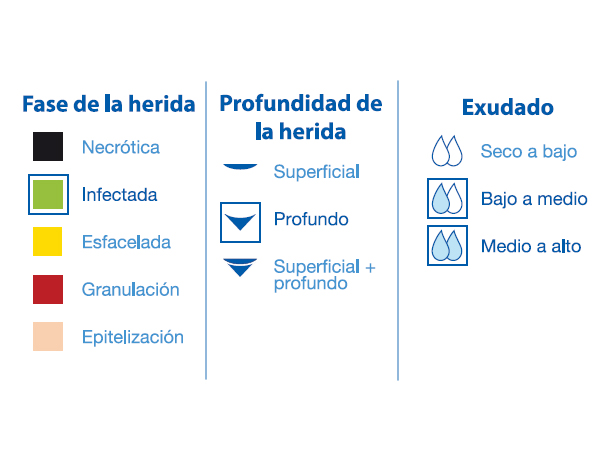 BSN Medical Cutimed® Sorbact® Mecha